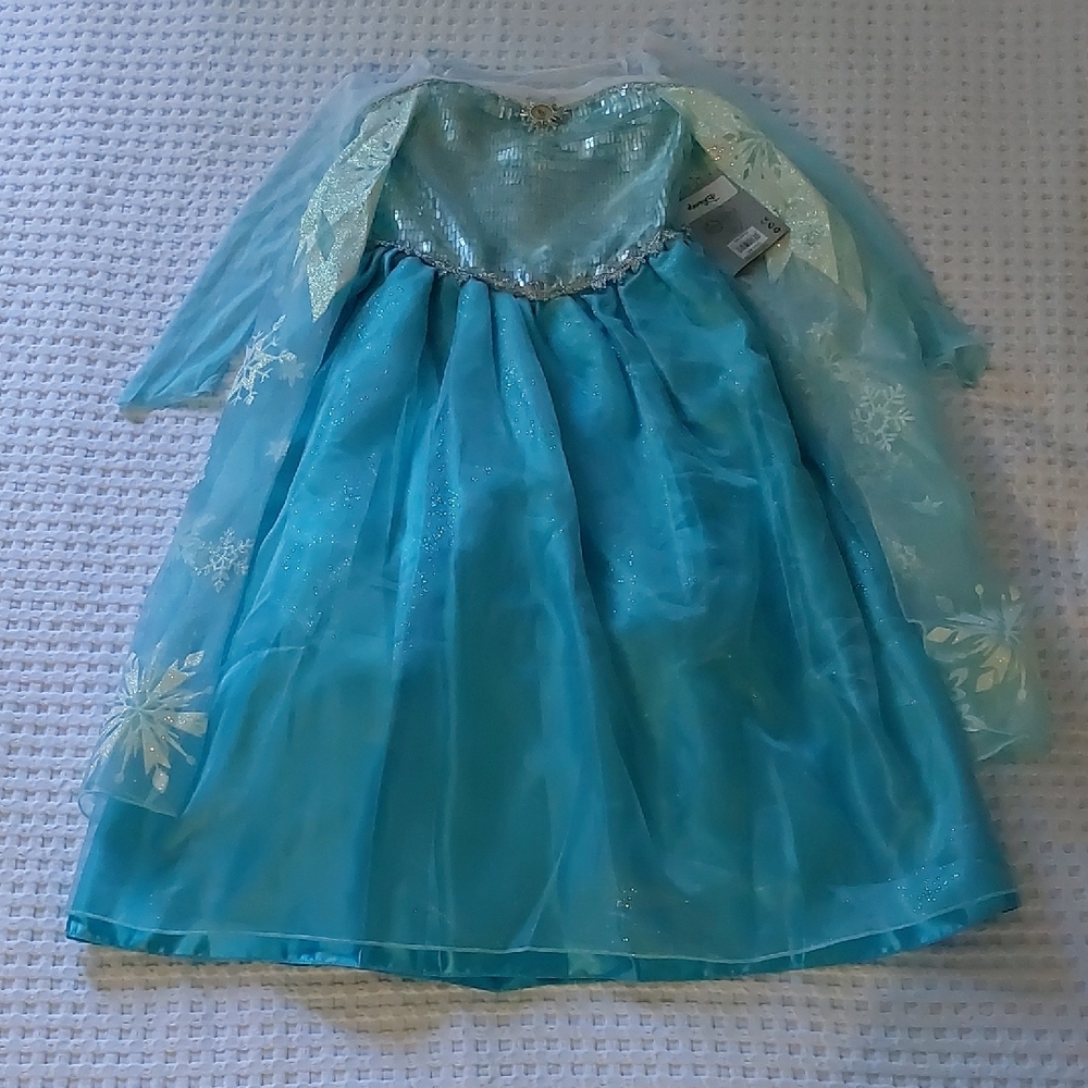 Disney Turquoise Snow Queen Costume